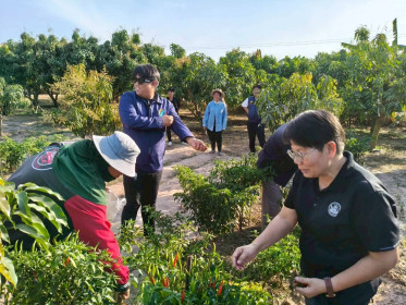 สหกรณ์จังหวัดกาฬสินธุ์ ลงพื้นที่ตรวจเยี่ยม ... พารามิเตอร์รูปภาพ 8