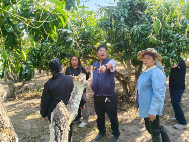 สหกรณ์จังหวัดกาฬสินธุ์ ลงพื้นที่ตรวจเยี่ยม ... พารามิเตอร์รูปภาพ 2