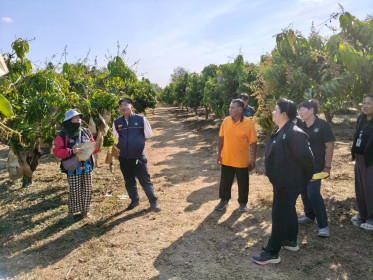 สหกรณ์จังหวัดกาฬสินธุ์ ลงพื้นที่ตรวจเยี่ยม ... พารามิเตอร์รูปภาพ 3