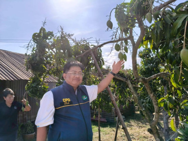 สหกรณ์จังหวัดกาฬสินธุ์ ลงพื้นที่ตรวจเยี่ยม ... พารามิเตอร์รูปภาพ 1